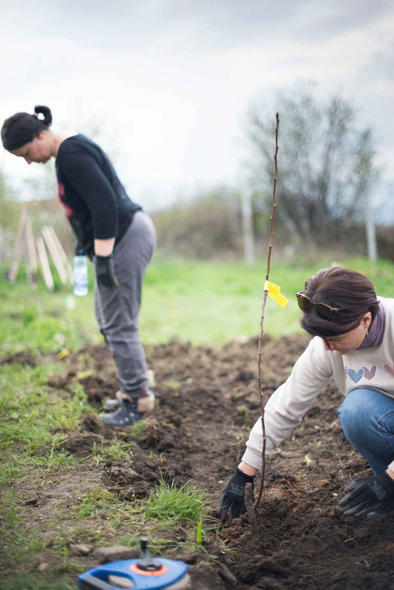 Șura Culturală Gușterița 14